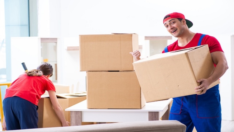 ING 19043 309518 - 8 Important Reasons to Hire A Professional Moving Service