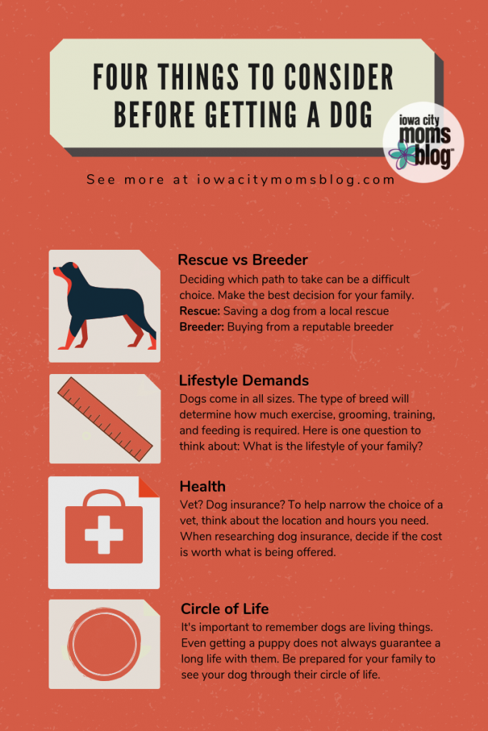 Things to consider before getting a dog 38652 683x1024 - Things to consider before getting a dog